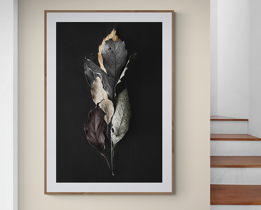 Dry Avandaro leaves