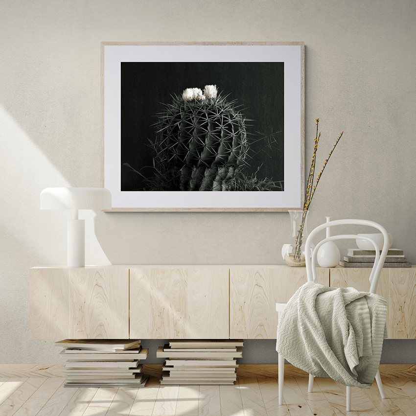 Cactus en flor