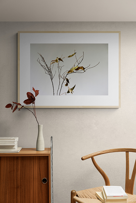 Withered branches and leaves