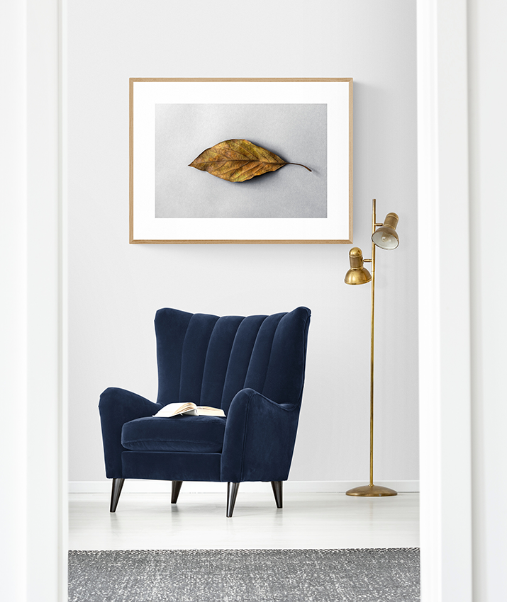Intervened tree leaf