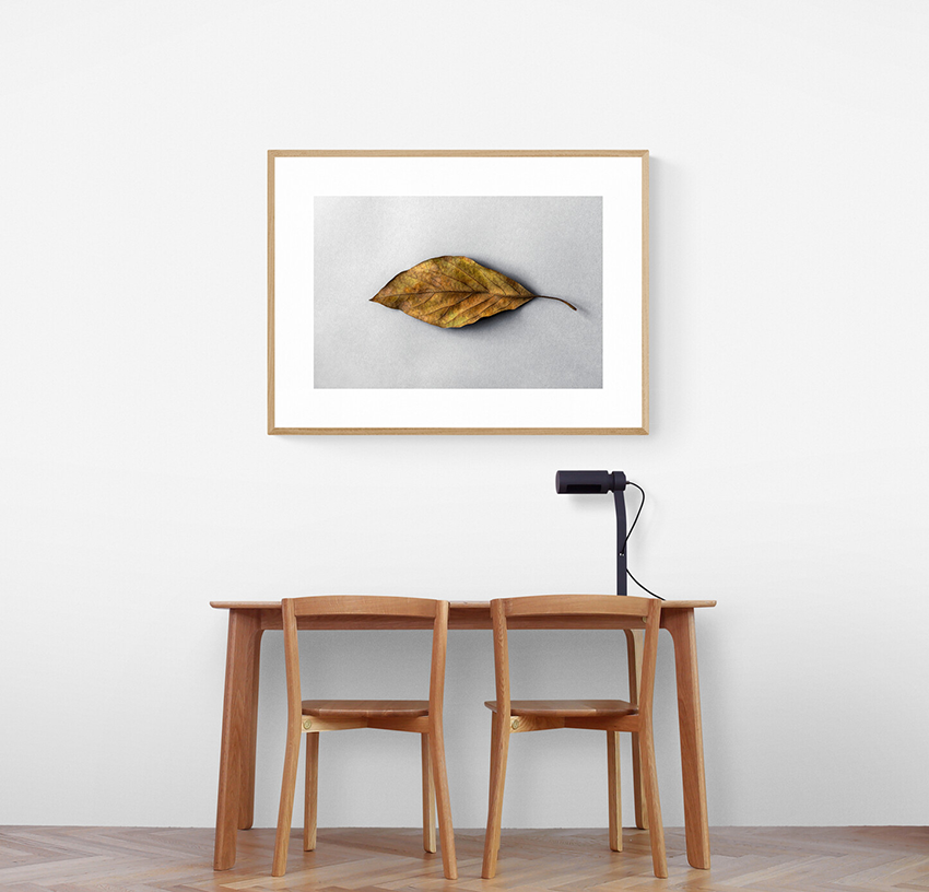 Intervened tree leaf