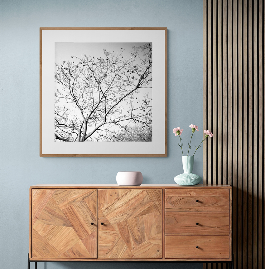 Branches in autumn