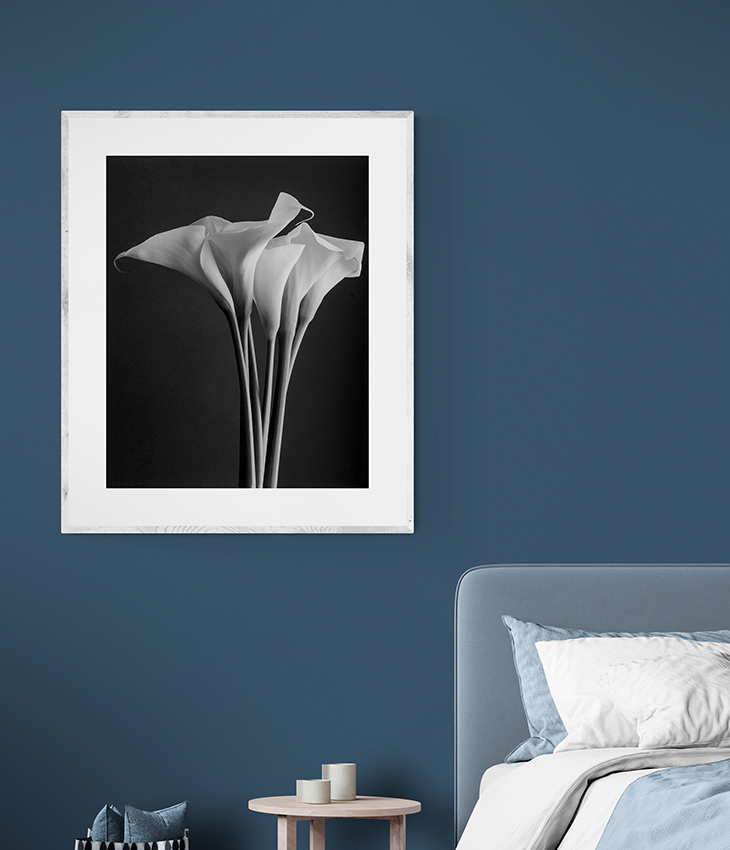 Bouquet of Calla lilies
