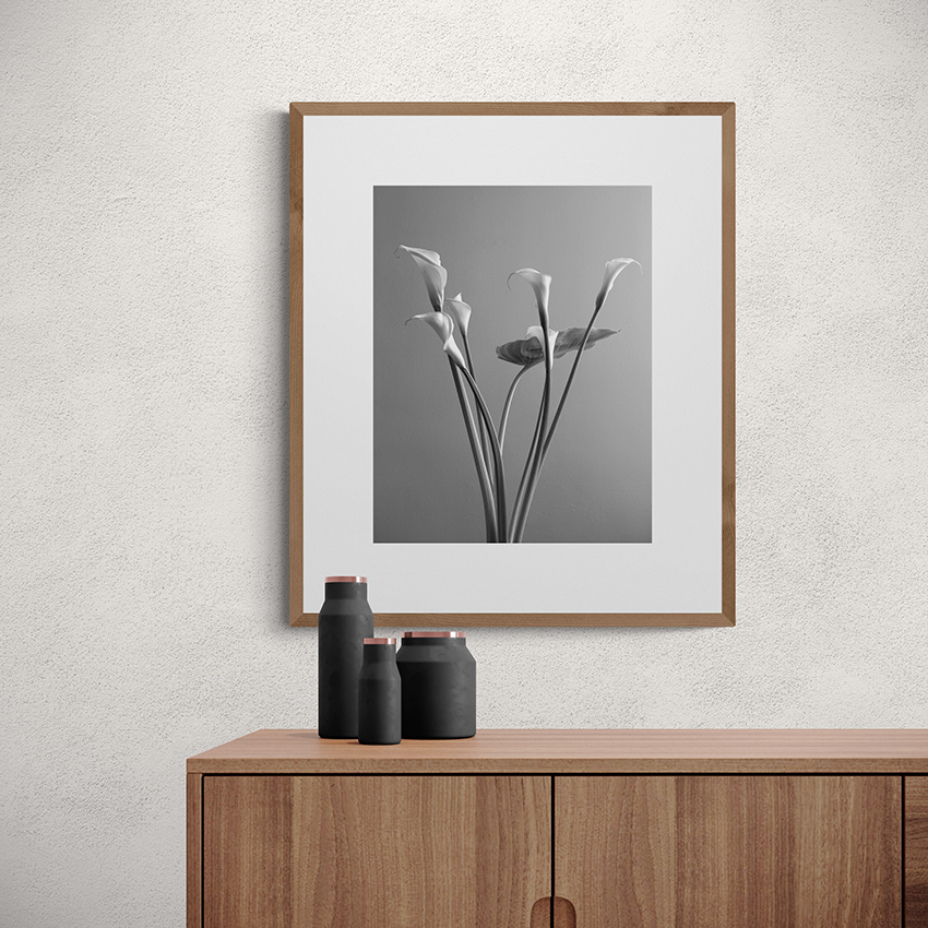 Six Calla lilies and a leaf