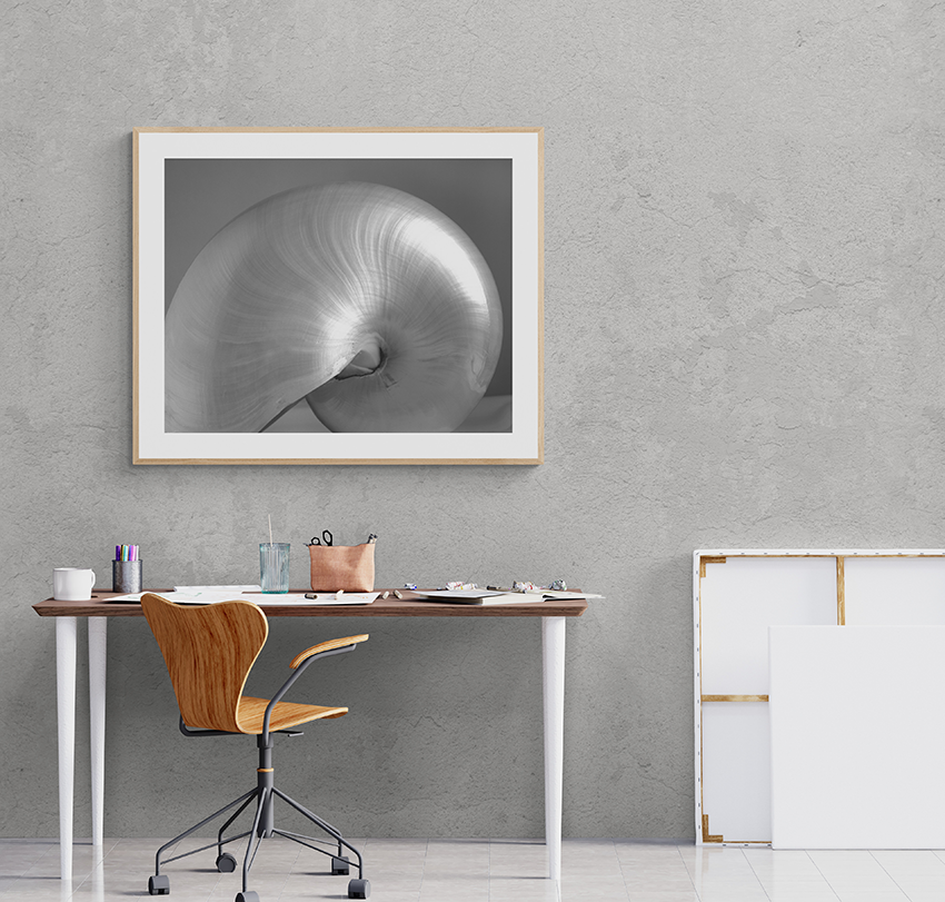 Nautilus 2