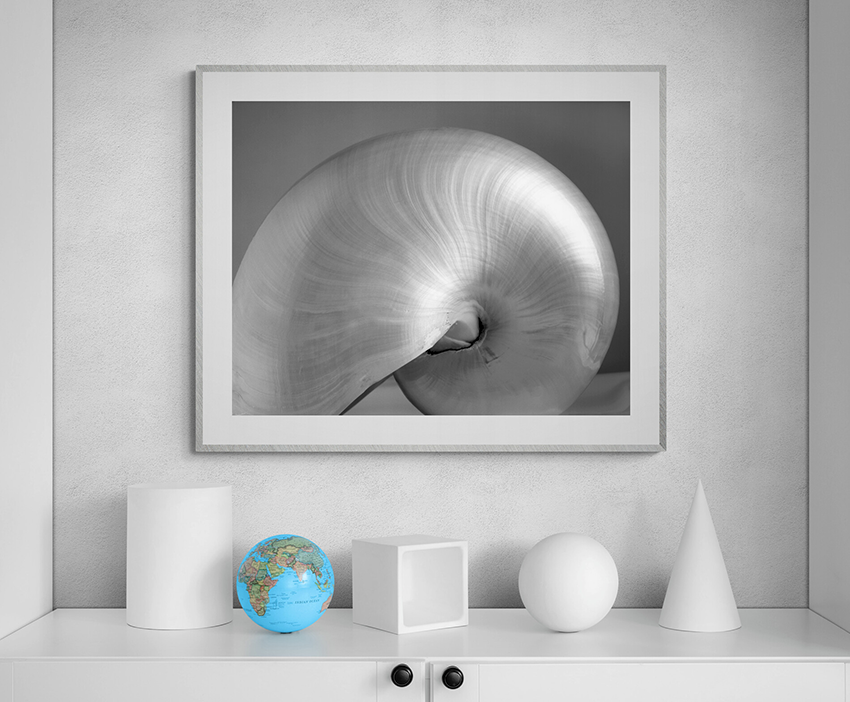 Nautilus 2