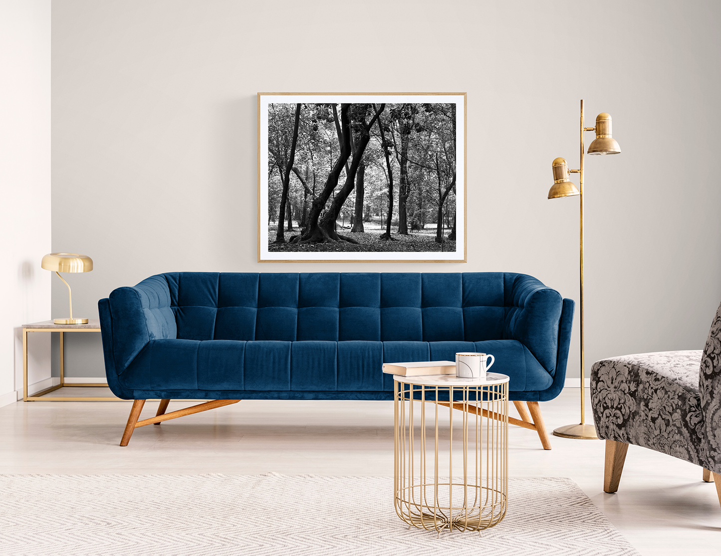 Trees in the morning