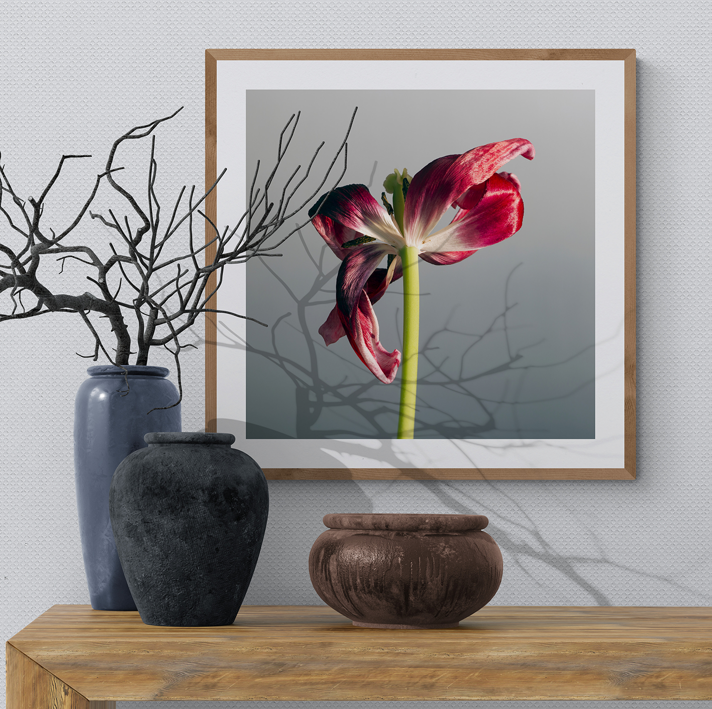 Belleza de un tulipán marchito