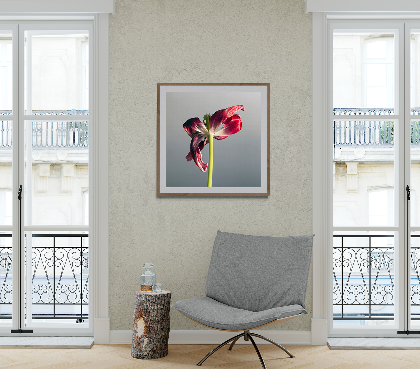 Belleza de un tulipán marchito