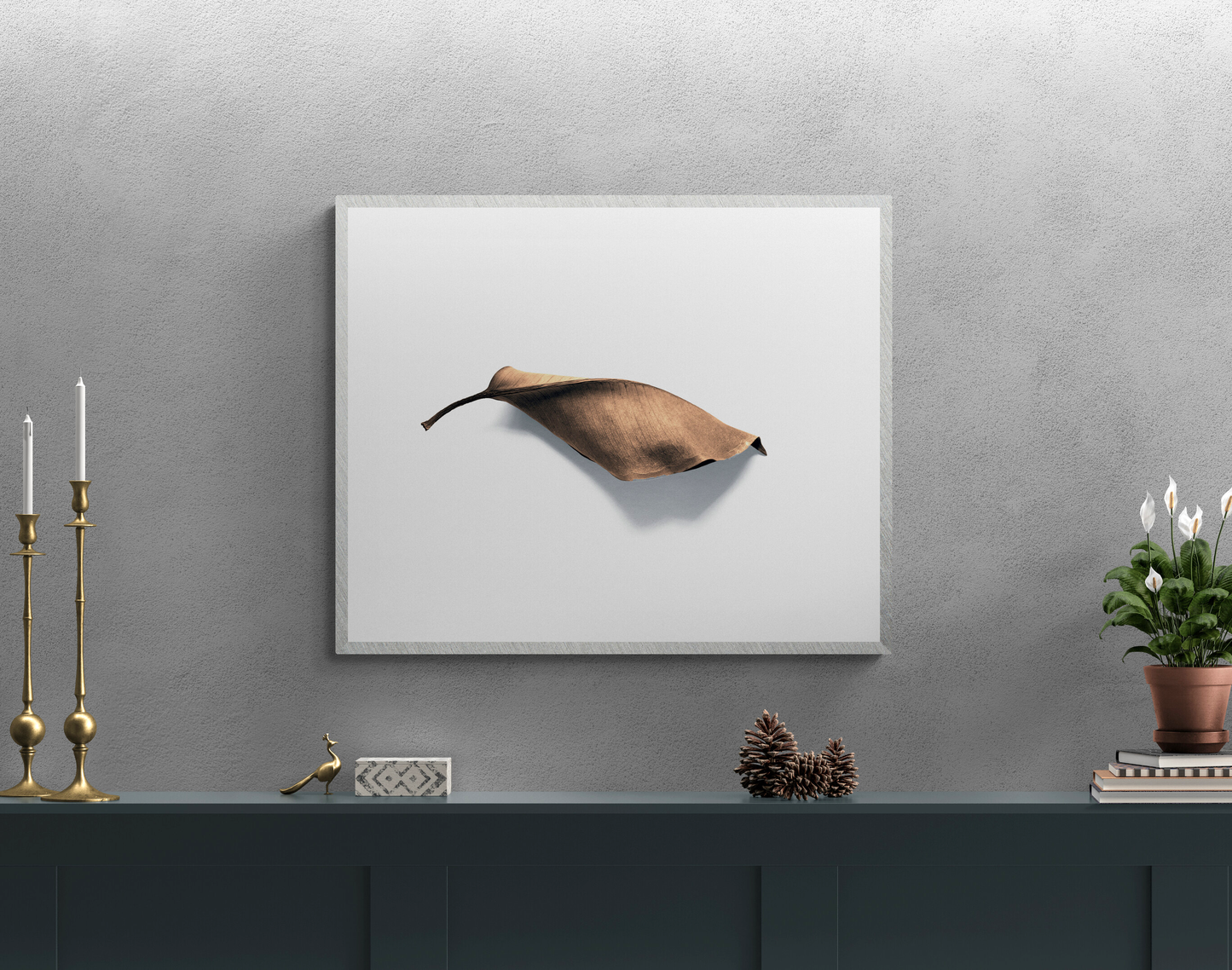 Shape of a tree leaf