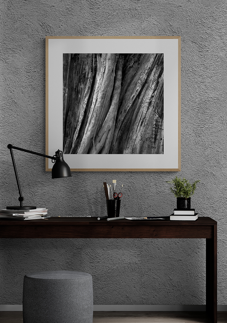 Árbol con recuerdos