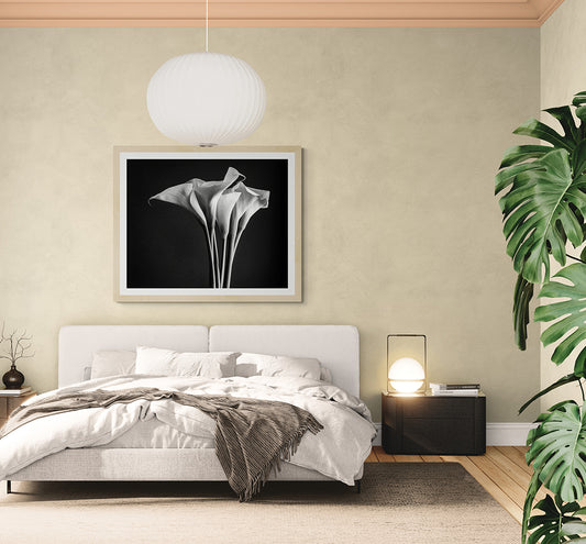 Calla lilies in a bouquet