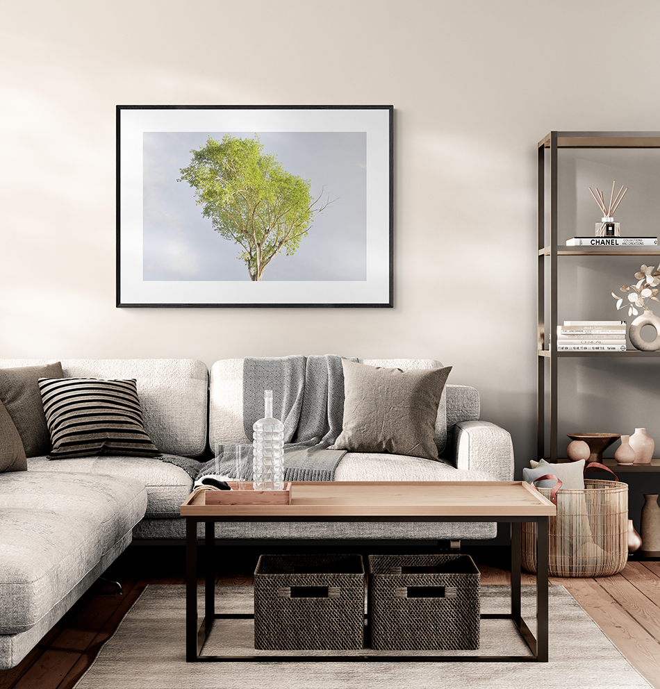 Árbol soleado