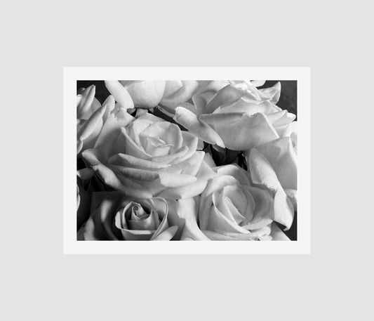 Arreglo de rosas blancas