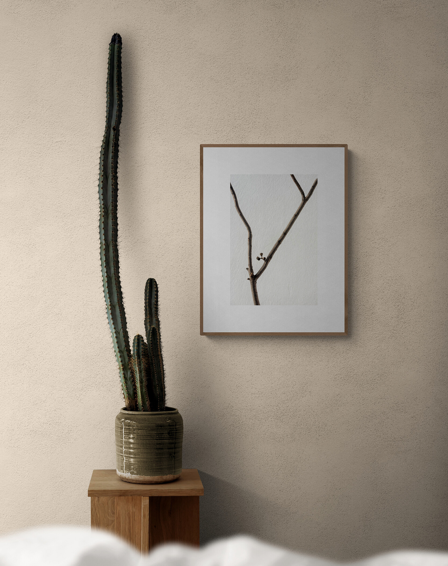 Dry branch 1