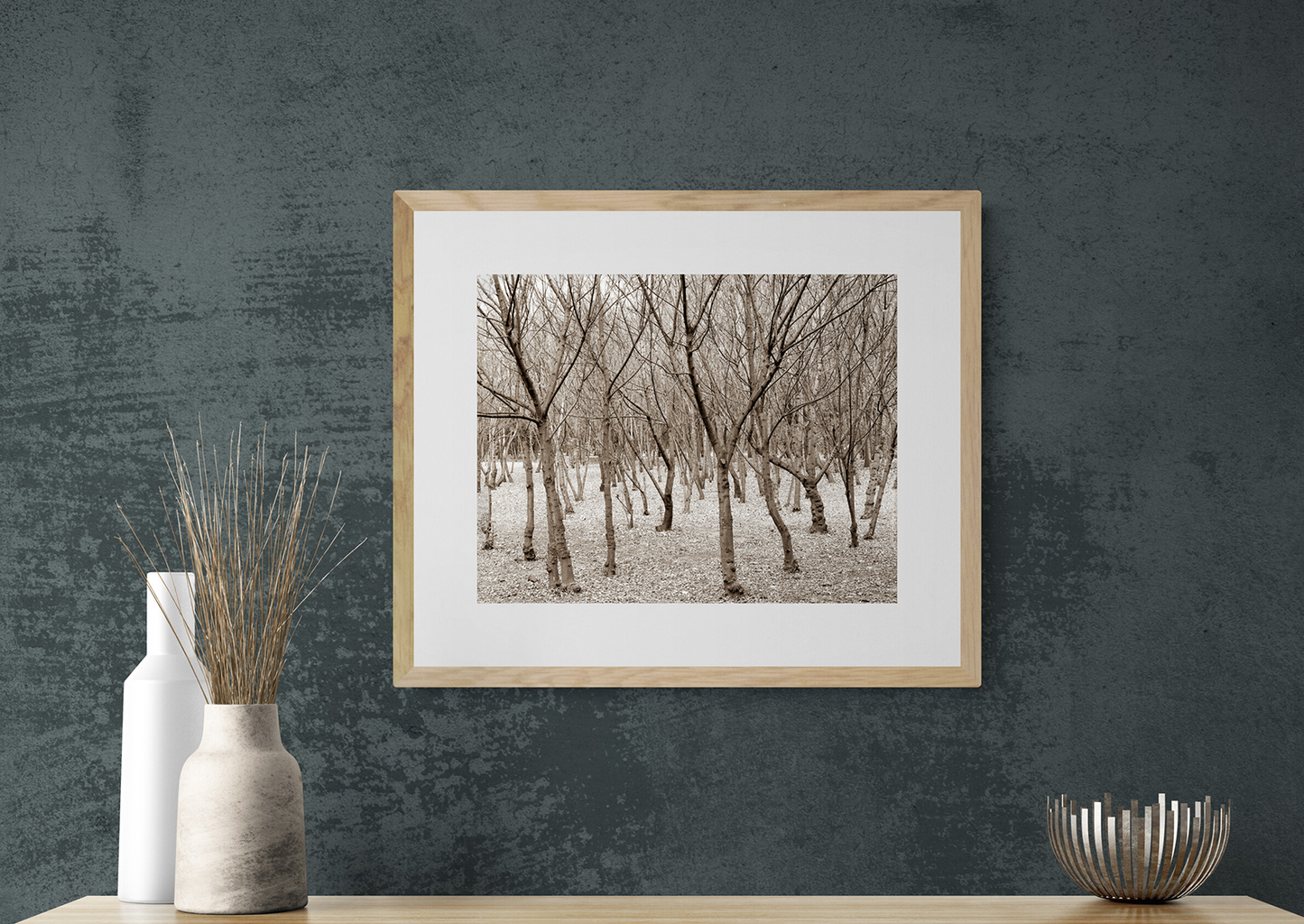 Árboles en invierno