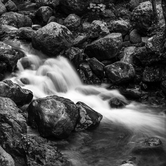 Stream in El Chico