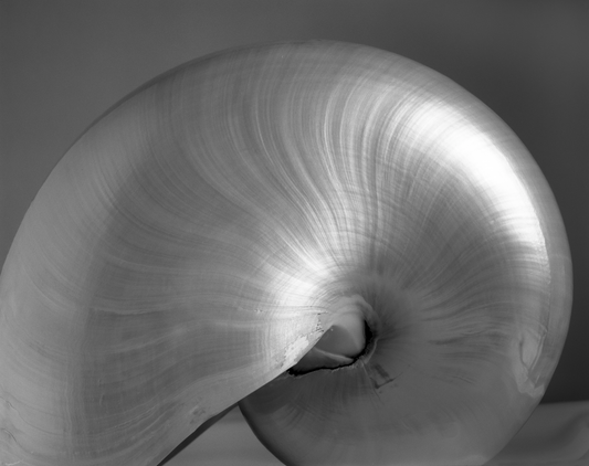 Nautilus 2