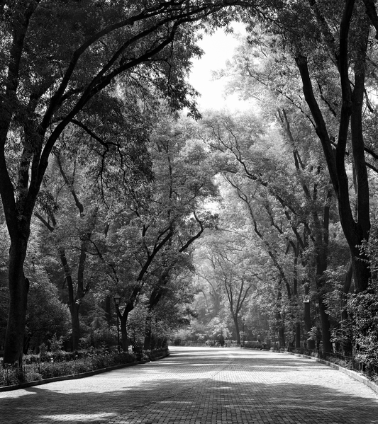 Bosque, Chapultepec