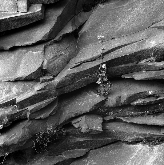 Slabs in Pedregal