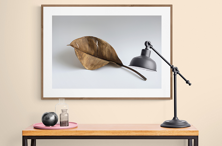 Dry tree leaf