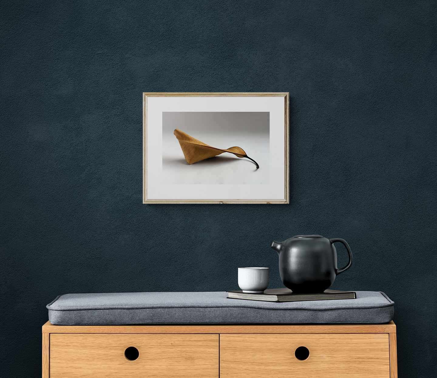 Hoja seca del Árbol del Hule