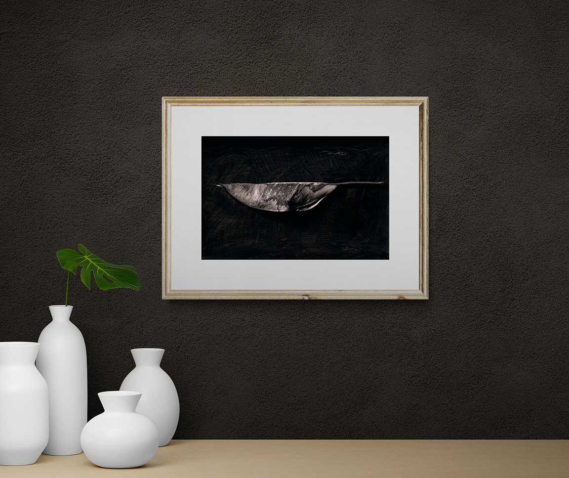 Hoja del Hule, perfil