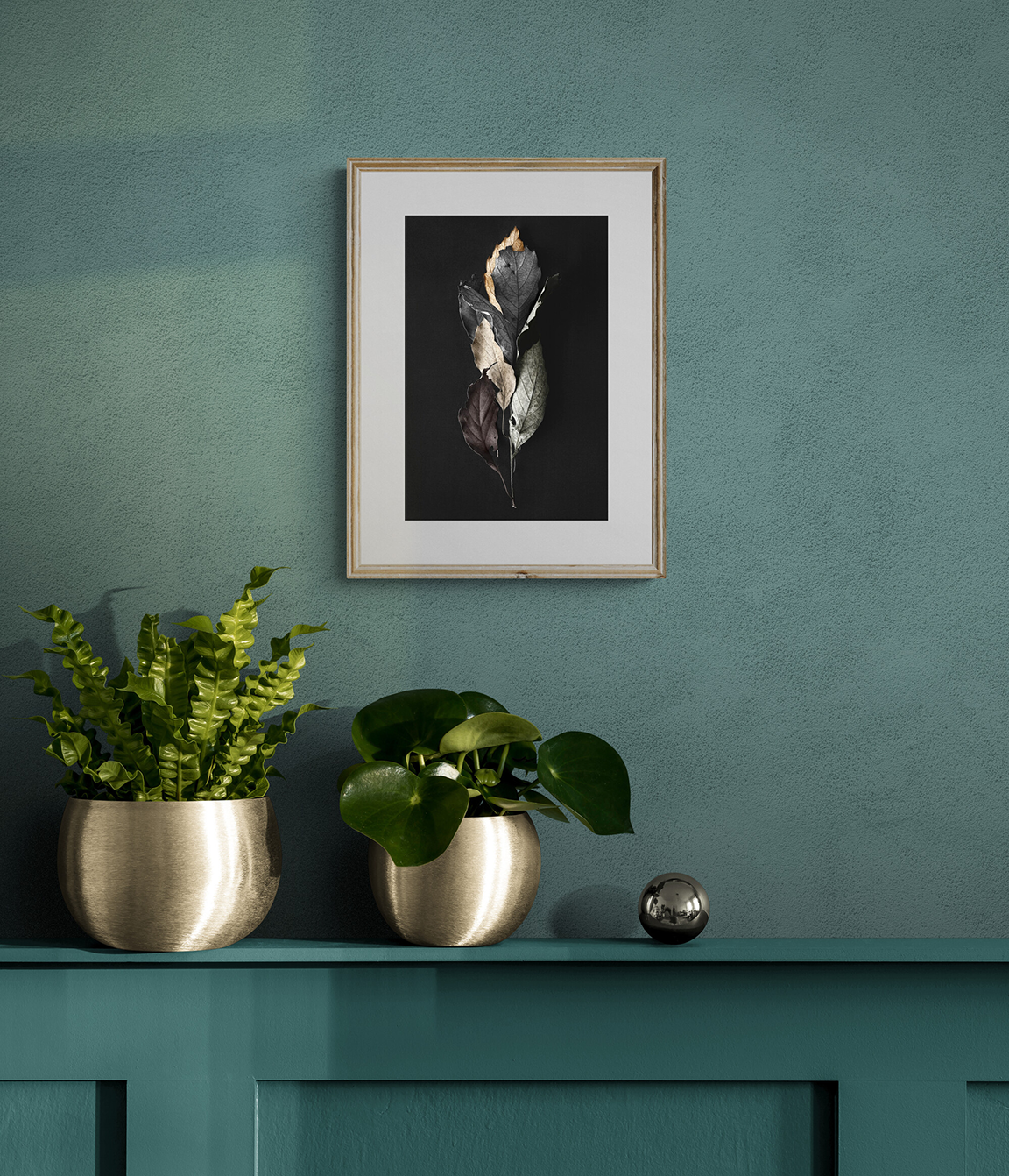 Hojas secas de Avándaro